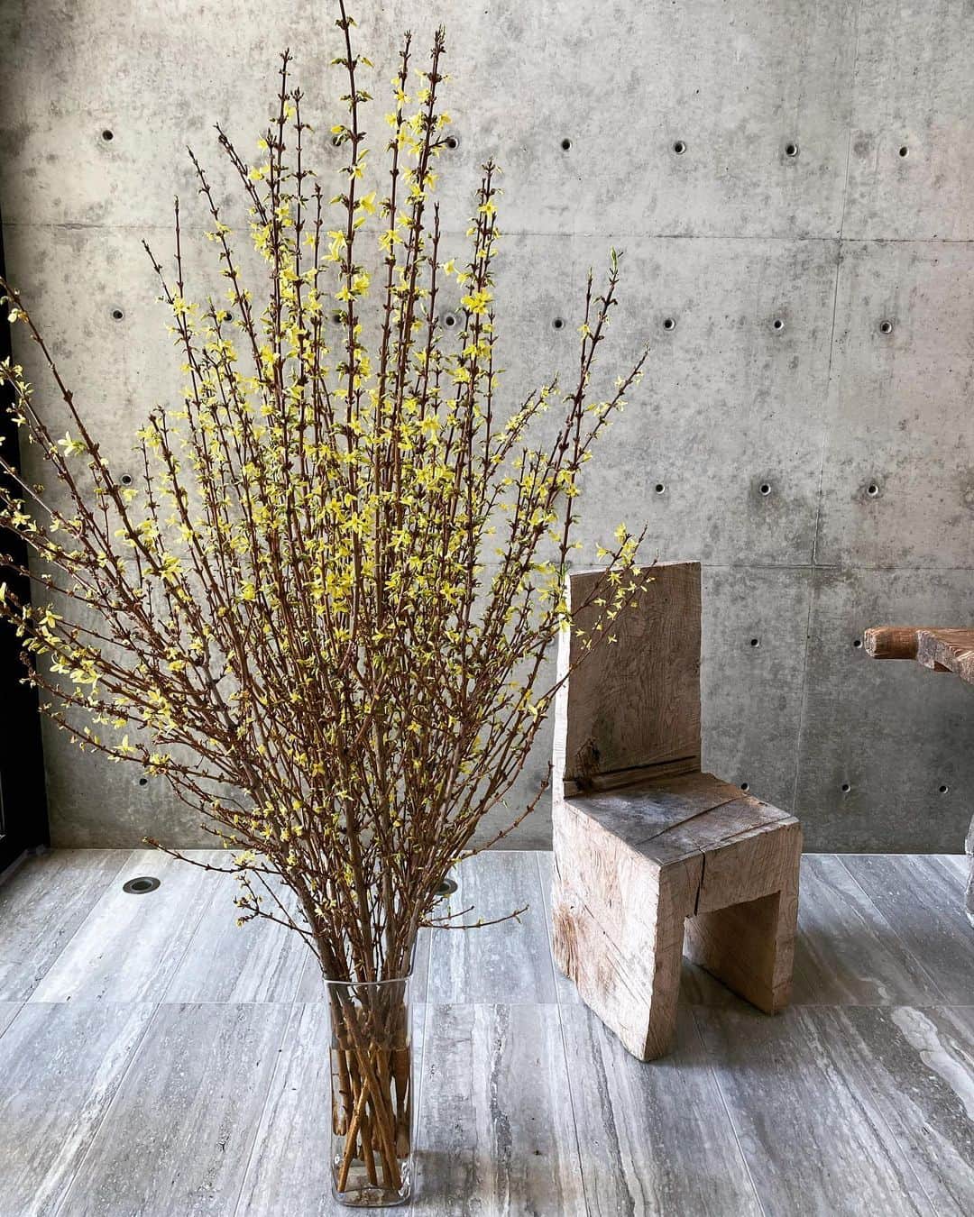 マリア・シャラポワのインスタグラム：「Love will not be cancelled. 🤎 #spring」