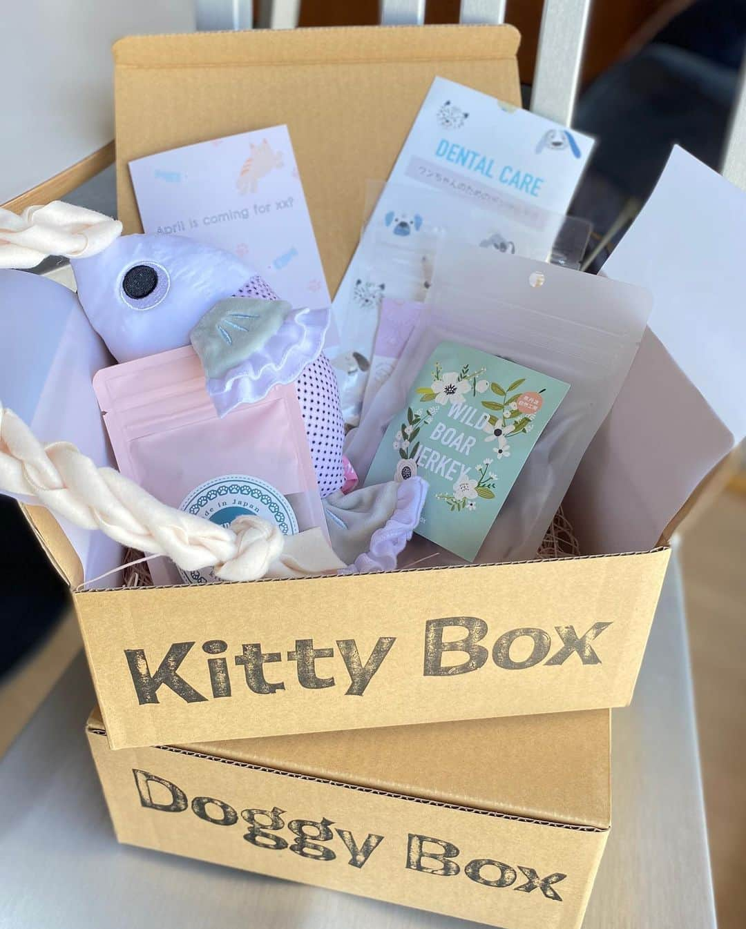 trs0609さんのインスタグラム写真 - (trs0609Instagram)「. . . いつものお楽しみのBOXが届いた〜🙌 . . あれ？『kitty Box』😺⁈ 『Doggy Box』🐶じゃない‼︎ .まちがって猫ちゃん用のとどいちゃった🤭⁉️ . . と思ったら4月のDoggy Boxは .4月1日のエイプリールフール、年に一度嘘をついても良い日と言うことでエイプリールフールをテーマにしたBoxだったんだって☺️ . おトーラは準備万端だったけどね😺←😂❤️ . . 🐠魚のおもちゃ 🦌エゾシカあらびきフレーク 🐗いのししジャーキー(動画で食べてるのはこれだよ) 🐟本鰹の厚削り .今回も大好きなうまうまいっぱい🤤 . そして、もう一つ☝️ デンタルケアのパンフレット🦷 #ドギボケア部 . トーラスの日々のデンタルケアは歯磨き粉をつけてブラッシングケア😬🧹✨ .毎日の事だから、飽きないように3種類の歯磨き粉その日の気分で使い分けてるよ🤗→④ .みんなはどうしてるかな❓ . わんこはもちろん飼い主もほっこり☺️ .不安な日々が続く中、遊び心たっぷり素敵なBOX( @doggybox_jp )をいつもありがとうございます💖 . . #ドギーボックス#ドギボ#doggybox #frenchbulldog #frenchies1#frenchieworld #redfawn #フレンチブルドッグ #フレブル#フォーン」4月12日 10時10分 - trs0609