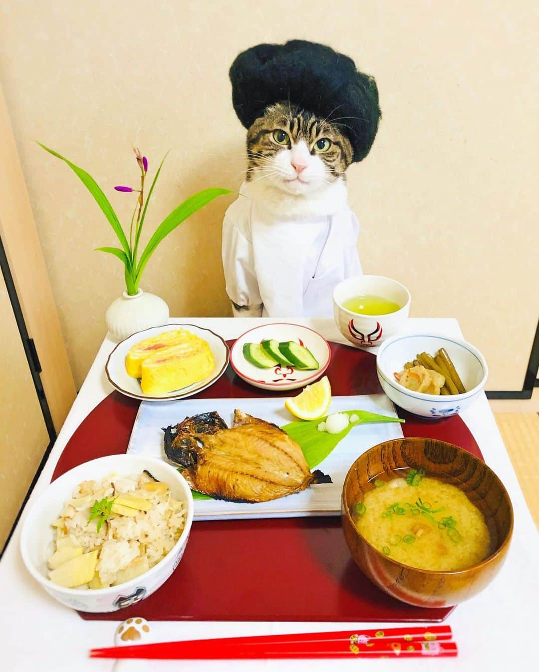 マロさんのインスタグラム写真 - (マロInstagram)「🌿たけのこご飯🌿  SWIPE▶️ ☆ .たけのこご飯 (Seasoned rice with Bamboo shoots) .アジの干物 (Dried horse mackerel) .ふきの煮物 (Simmered Japanese Butterbur) .明太子入りだし巻き卵 (Japanese-style omlet with seasoned cod roe) .なめこと豆腐の味噌汁 (Miso Soup with Nameko Mushrooms with tofu) .きゅうりのぬか漬け (Cucumbers pickled in salted rice-bran paste) ☆ 毎日美味しいご飯が食べられる事に感謝です🙏 いつもコメントありがとうございます😺🙏💕 返信出来なくてすみません🙇‍♀️ 全て拝見しています🐾 ☆ Thank you for your kind comments😺🙏💕 I'm sorry that I couldn't reply. ☆ #cat#cats#catsofinstagram#😻 #food#japanesefood#chef #japaneseculture#ねこ#猫#ネコ #にゃんすたぐらむ#ねこ部 #おうちごはん#和食#料理 #猫のいる暮らし#お花のある暮らし  #斉藤和義#免疫力アップ」4月12日 10時51分 - rinne172