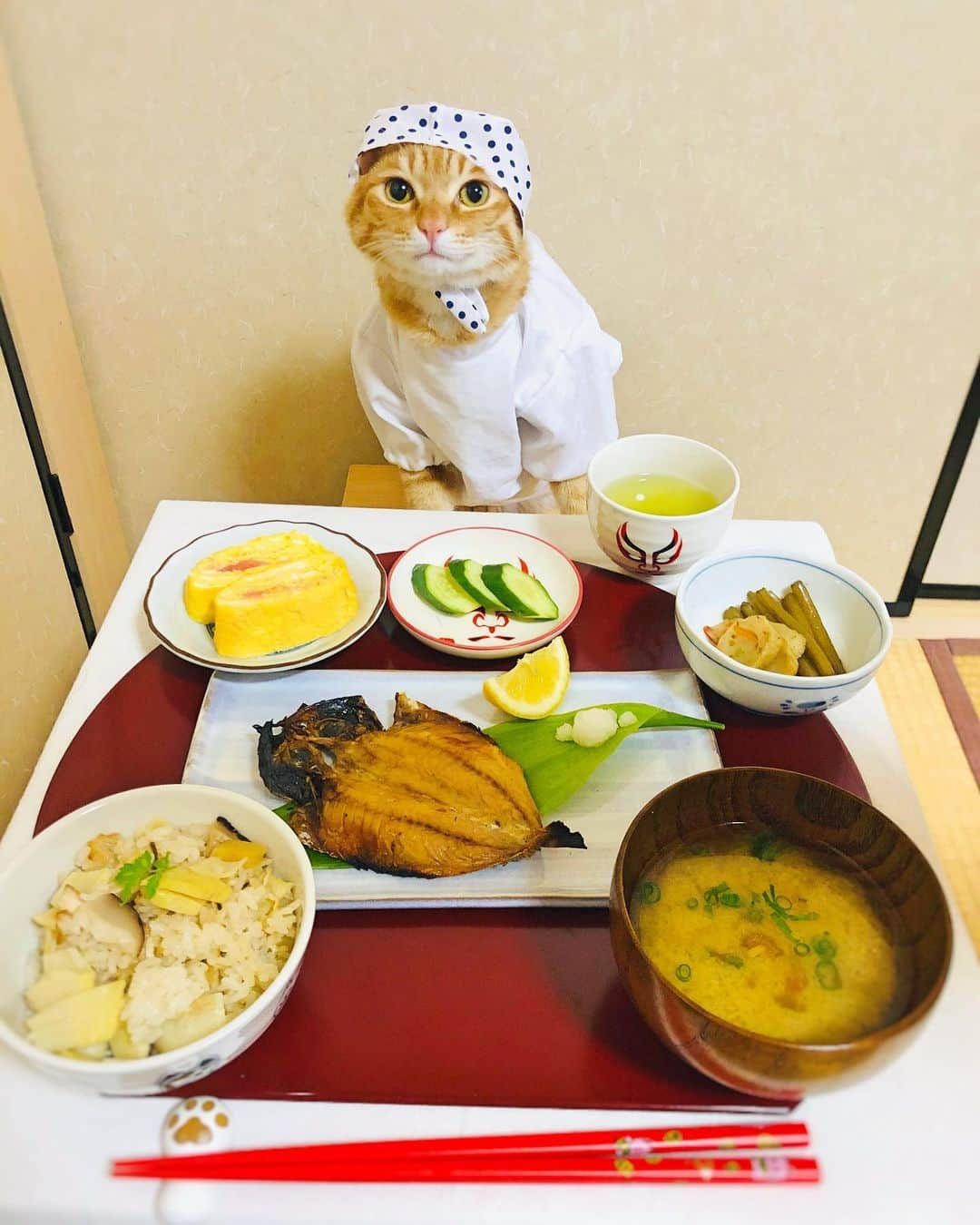 マロさんのインスタグラム写真 - (マロInstagram)「🌿たけのこご飯🌿  SWIPE▶️ ☆ .たけのこご飯 (Seasoned rice with Bamboo shoots) .アジの干物 (Dried horse mackerel) .ふきの煮物 (Simmered Japanese Butterbur) .明太子入りだし巻き卵 (Japanese-style omlet with seasoned cod roe) .なめこと豆腐の味噌汁 (Miso Soup with Nameko Mushrooms with tofu) .きゅうりのぬか漬け (Cucumbers pickled in salted rice-bran paste) ☆ 毎日美味しいご飯が食べられる事に感謝です🙏 いつもコメントありがとうございます😺🙏💕 返信出来なくてすみません🙇‍♀️ 全て拝見しています🐾 ☆ Thank you for your kind comments😺🙏💕 I'm sorry that I couldn't reply. ☆ #cat#cats#catsofinstagram#😻 #food#japanesefood#chef #japaneseculture#ねこ#猫#ネコ #にゃんすたぐらむ#ねこ部 #おうちごはん#和食#料理 #猫のいる暮らし#お花のある暮らし  #斉藤和義#免疫力アップ」4月12日 10時51分 - rinne172