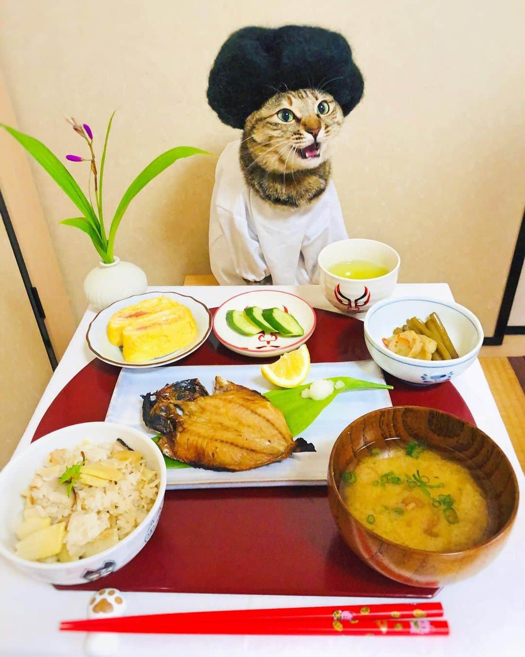 マロさんのインスタグラム写真 - (マロInstagram)「🌿たけのこご飯🌿  SWIPE▶️ ☆ .たけのこご飯 (Seasoned rice with Bamboo shoots) .アジの干物 (Dried horse mackerel) .ふきの煮物 (Simmered Japanese Butterbur) .明太子入りだし巻き卵 (Japanese-style omlet with seasoned cod roe) .なめこと豆腐の味噌汁 (Miso Soup with Nameko Mushrooms with tofu) .きゅうりのぬか漬け (Cucumbers pickled in salted rice-bran paste) ☆ 毎日美味しいご飯が食べられる事に感謝です🙏 いつもコメントありがとうございます😺🙏💕 返信出来なくてすみません🙇‍♀️ 全て拝見しています🐾 ☆ Thank you for your kind comments😺🙏💕 I'm sorry that I couldn't reply. ☆ #cat#cats#catsofinstagram#😻 #food#japanesefood#chef #japaneseculture#ねこ#猫#ネコ #にゃんすたぐらむ#ねこ部 #おうちごはん#和食#料理 #猫のいる暮らし#お花のある暮らし  #斉藤和義#免疫力アップ」4月12日 10時51分 - rinne172