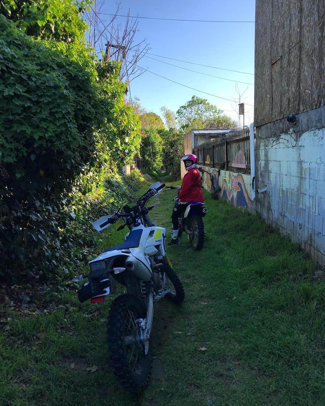 Dark Wavesのインスタグラム：「Evening stroll around the neighborhood with @itsblitzzz」