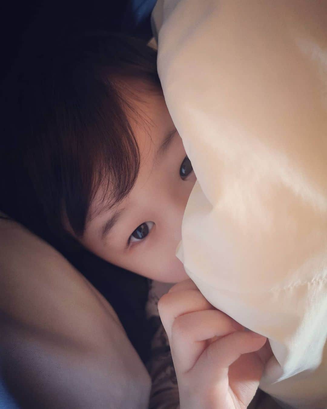 山上紗和 のインスタグラム：「#赤ちゃん返り  ずっと膝の上に居ます🤢」