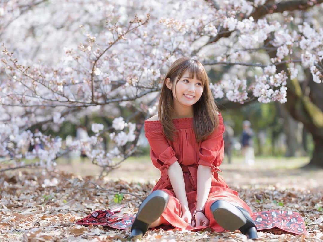 のインスタグラム：「. . お家写真ばっかになっちゃうから 去年の桜を再び🌸🌸🌸 . #ポートレート #桜 #🌸 #お家時間 #おうちじかん」