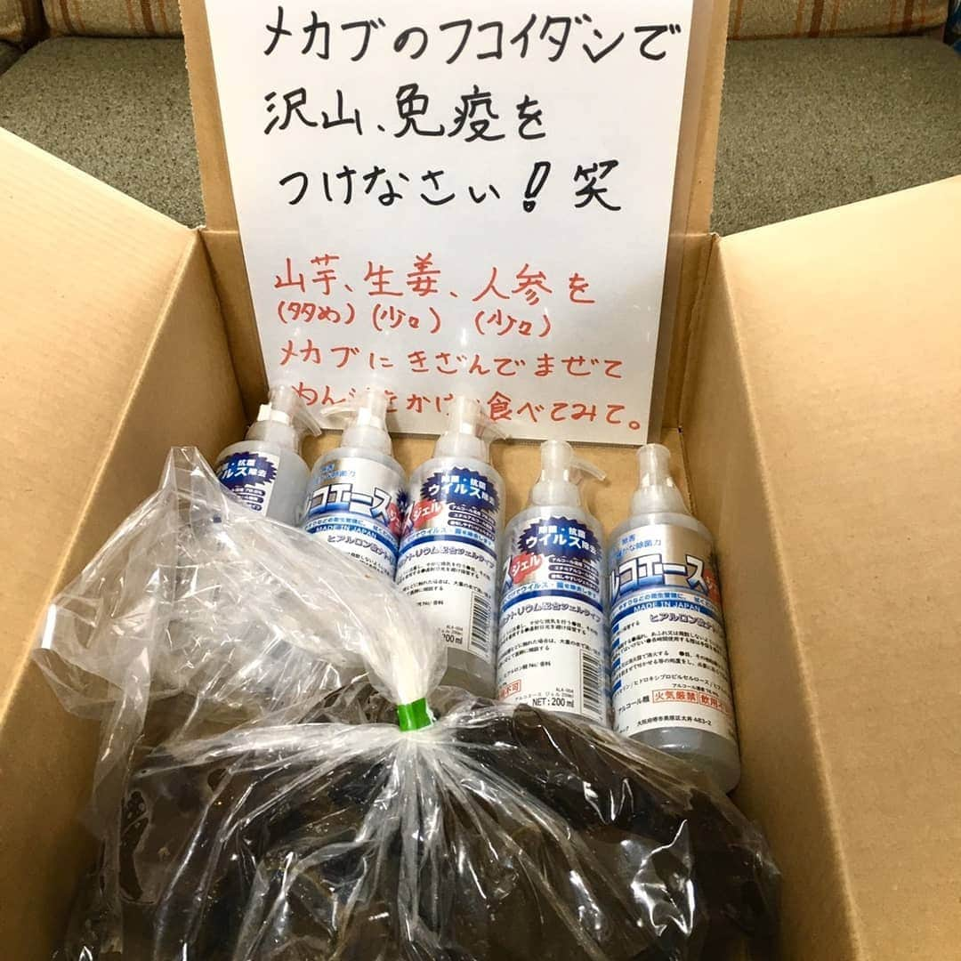 真鍋摩緒さんのインスタグラム写真 - (真鍋摩緒Instagram)「85三十路祭り仲間であり 東北チームの戦友である フィッシャーマンジャパンの代表 阿部 勝太 から我が家にアルコールスプレーと 新鮮すぎるメカブが手紙と共に送られてきた😭  ので本日のランチは急遽 メカブとしらすのペペロンチーノになりました。 味わいといい歯ごたえといい 美味しすぎて震える😭  3歳のおいしいおいしい言って食べました🙋  ありがとうあべしょー😭 アルコールも大切に使わせていただくね！  夜は鍋にしよ😍 #フィッシャーマンジャパン #メカブイリュージョン  #うちで過ごそう」4月12日 13時18分 - maomanabe