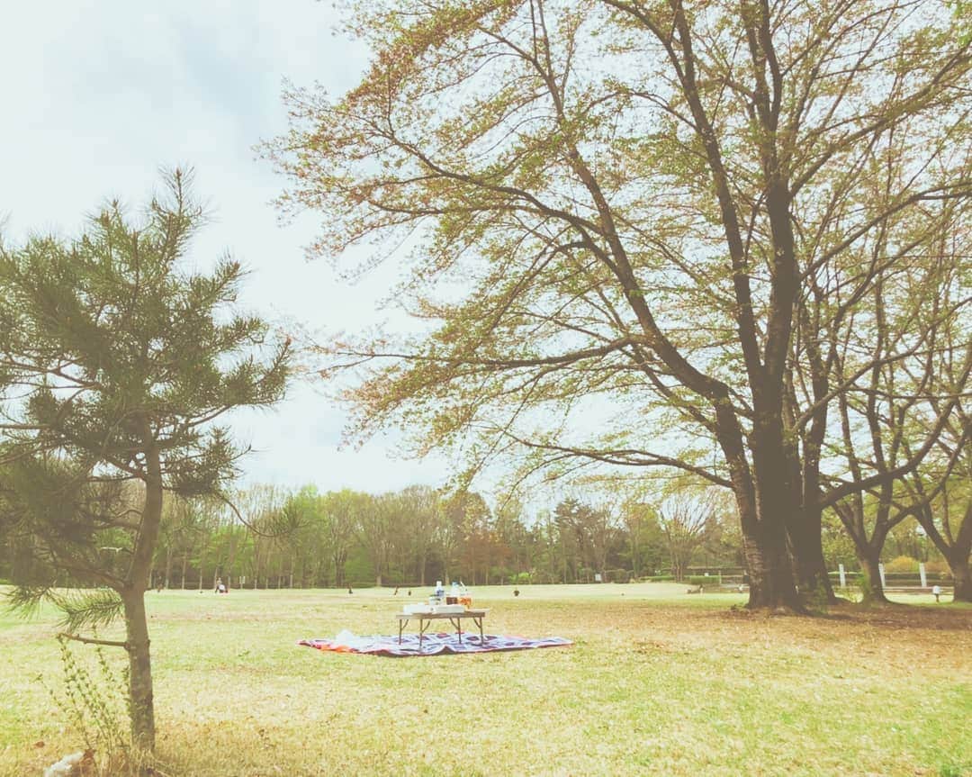 坂本詩緒里さんのインスタグラム写真 - (坂本詩緒里Instagram)「お散歩がてら🍴  #昼食 #気分転換 #気持ちいい #公園 #おにぎり #マフィン #散歩」4月12日 14時32分 - jpba529