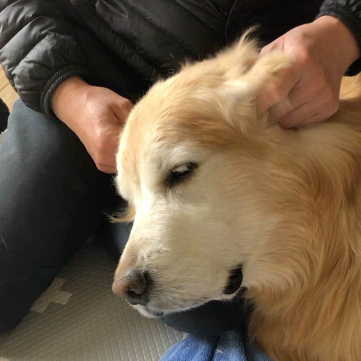 高橋ひとみのインスタグラム