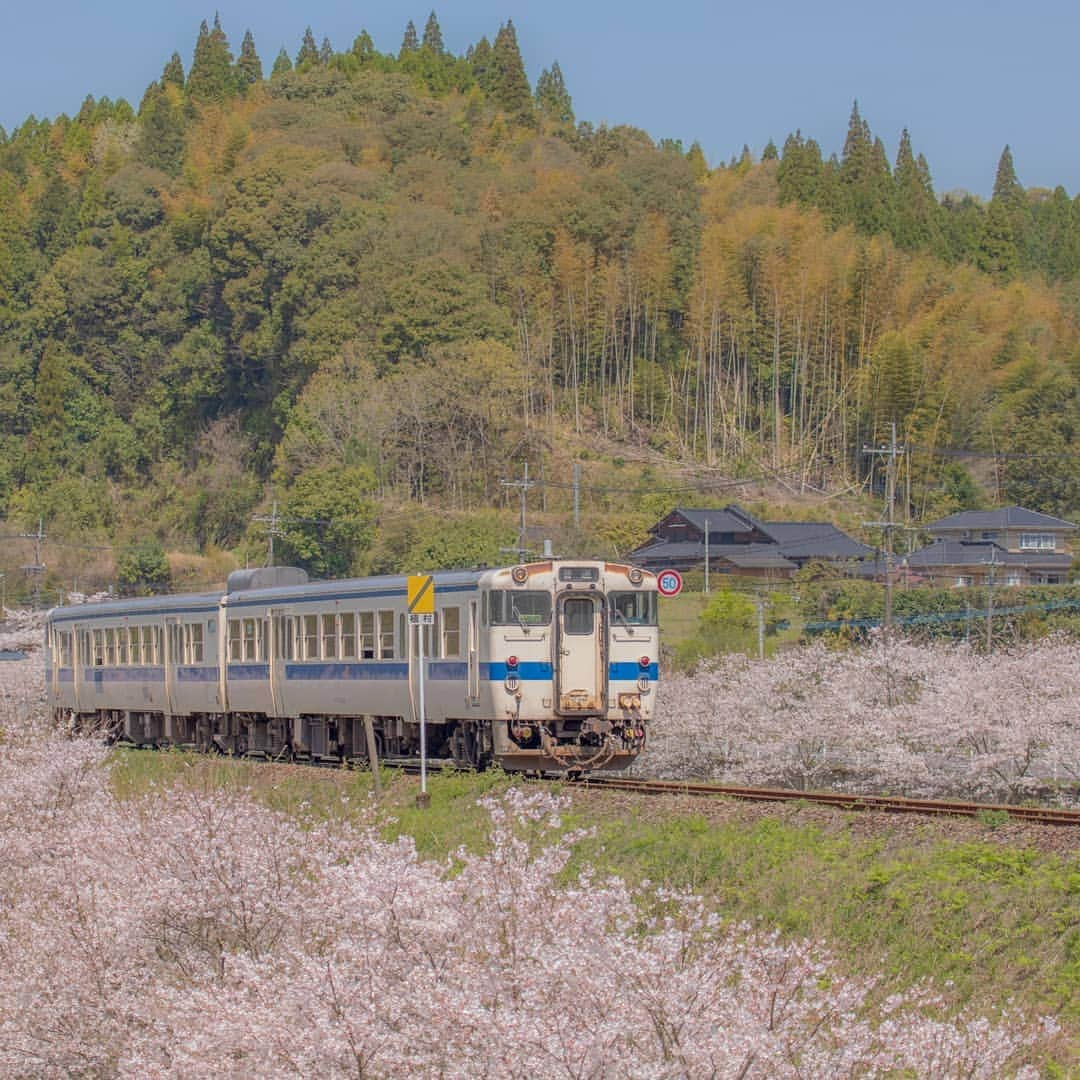 鹿児島よかもん再発見のインスタグラム