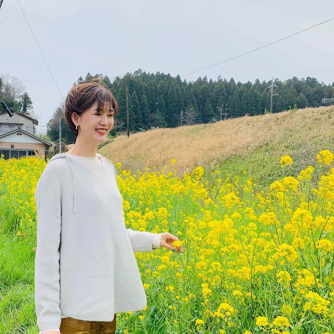 栗原恵さんのインスタグラム写真 - (栗原恵Instagram)「🌰 最近は絵ばかりを載せていたので（笑） たまには違う投稿を…🌼🌼🌼 ・ ・ 先月お散歩している時に 綺麗な菜の花を見つけたので記念に一枚🤳 ・ ・ #菜の花 #風強め」4月12日 19時43分 - megumi_kurihara_official