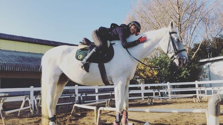 川上舞乃のインスタグラム：「白馬って白髪なんだって〜！白くなっちゃったんだって。 びっくり。産まれた時から白いわけじゃなかったんだね🐴  #乗馬 #平祐奈 #yunatube  #yunafamily」