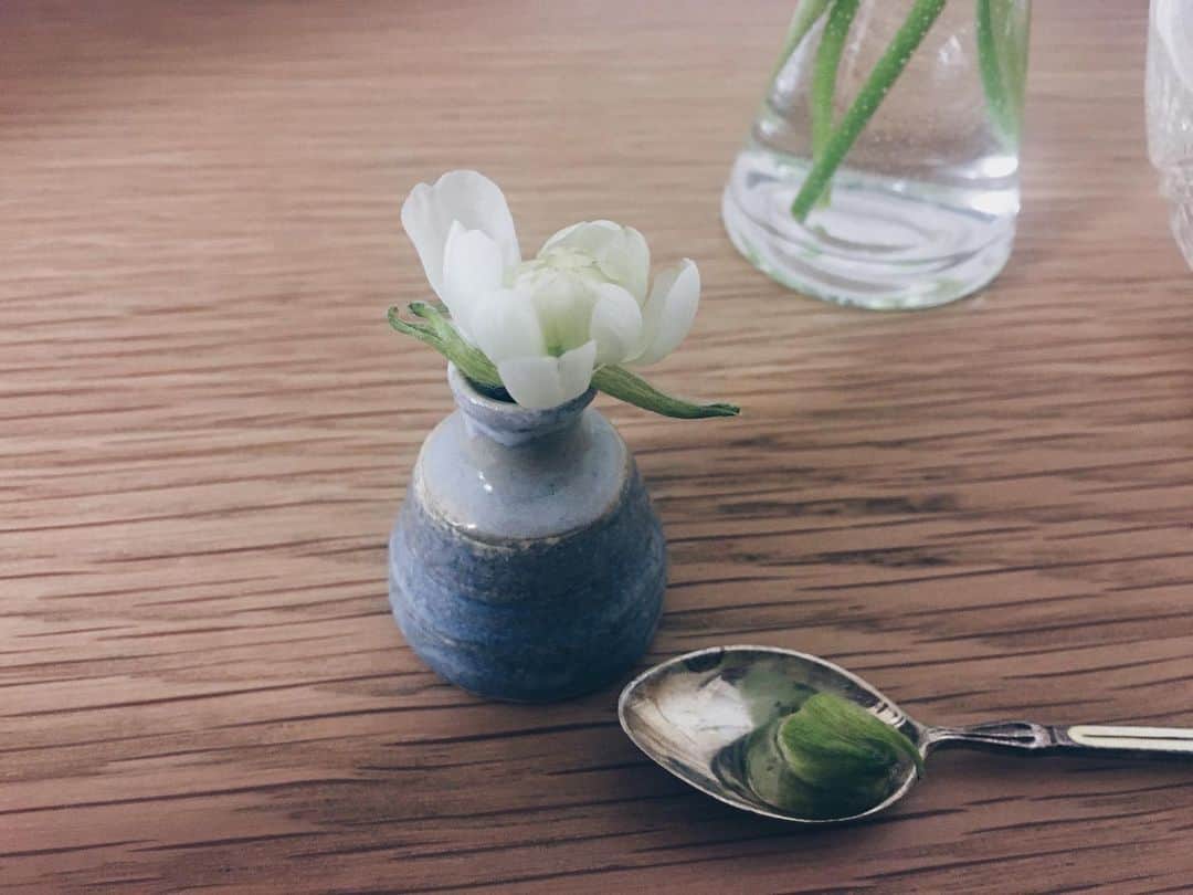 藤野可織のインスタグラム：「首だけになってた蕾が開いてきた。お匙に生けたほうは難しいかな…。」