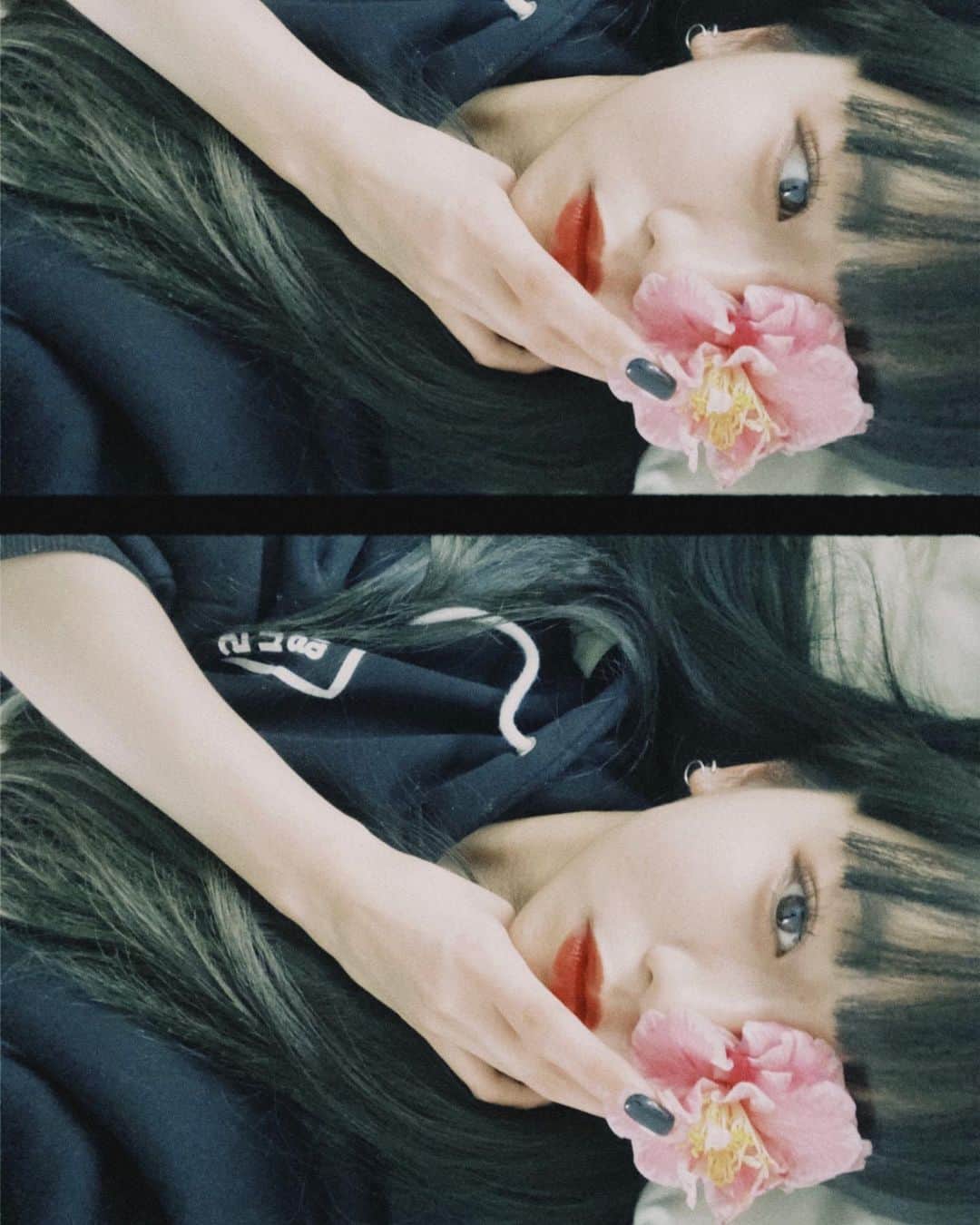 Hinaさんのインスタグラム写真 - (HinaInstagram)「ㅤㅤㅤㅤㅤㅤㅤㅤㅤㅤㅤㅤㅤ お花って綺麗ね🌸」4月12日 20時57分 - hina_faky