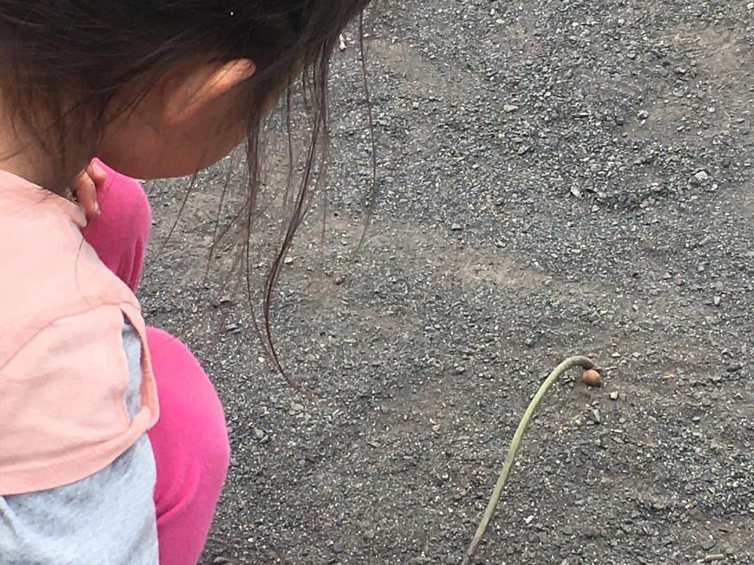 六車奈々さんのインスタグラム写真 - (六車奈々Instagram)「「キーン！」と走り、 ウンコに見立てたドングリを、ツンツン。  アラレちゃん愛が止まらない四歳児。  #ウンコ #ツンツン #どんぐりで #アラレラブ」4月12日 21時04分 - nanarokusha