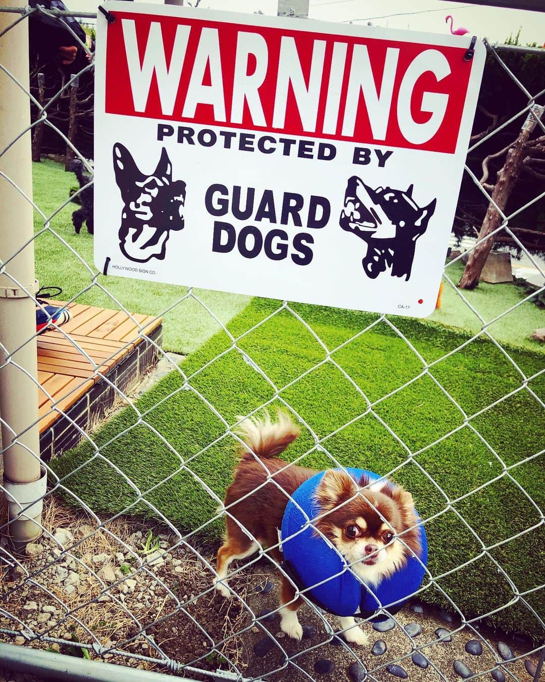 木村真野のインスタグラム：「#warning⚠️ 😂😂😂」