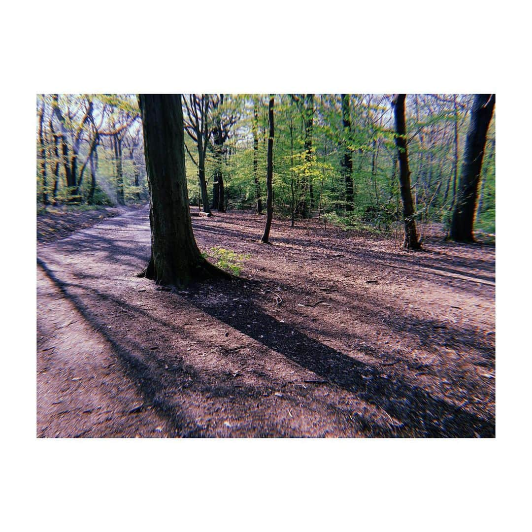 佐藤佳菜子さんのインスタグラム写真 - (佐藤佳菜子Instagram)「イギリスの犬たちは 広い公園や山で みんなリードなしで 走り回っている。  最初とてもびっくりしたのだけど ブタと一緒に 少しずつ練習して  いまは、 ブタは自信を持って 1人で歩けるし  わたしは　 ブタの一人歩きを 信頼している。  ブタはすこし先に歩きすぎると ちゃんと立ち止まって　 わたしたちを待っているし  呼んだらすぐに 帰ってくる。  綱を引かれるヒトと 綱を引くヒト  ではなくて 平等に散歩を楽しむ。  なかなかいい。  ブタは1人で　 わたしが興味のない いろんなものの 匂いを嗅いだり  いろんなものを 見に行ったりして  わたしたちとは また違う散歩をしている。  とはいえ 道路に出るときは すぐにリードに戻します。  #イミンの話」4月12日 22時04分 - kanakosato1019