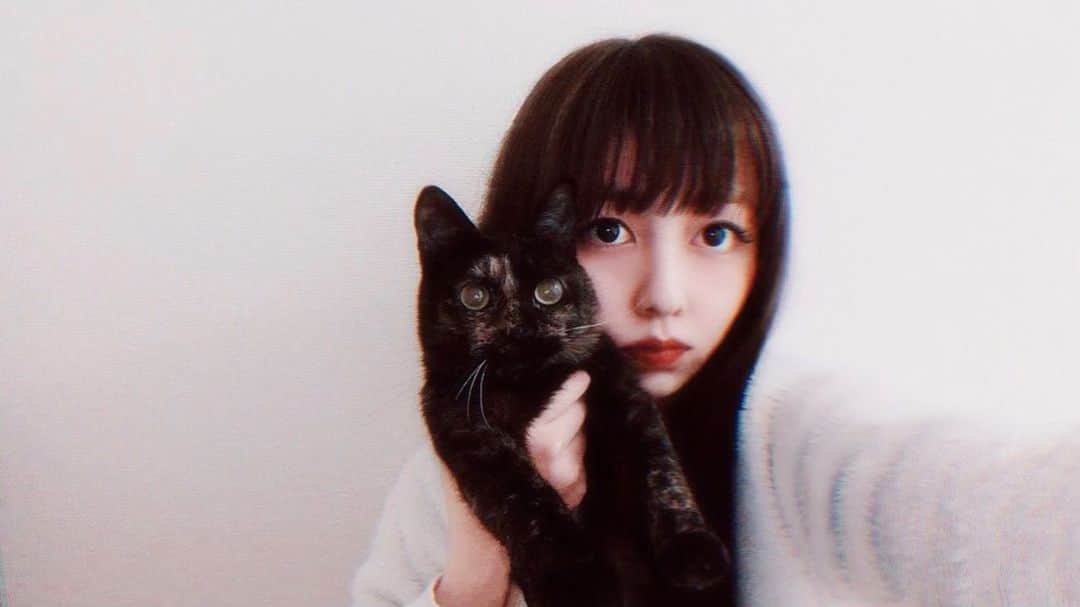 南波志帆さんのインスタグラム写真 - (南波志帆Instagram)「もけちゃんとツーショット #おうち時間 #🐈 #cat #moke」4月12日 22時24分 - nanbashiho