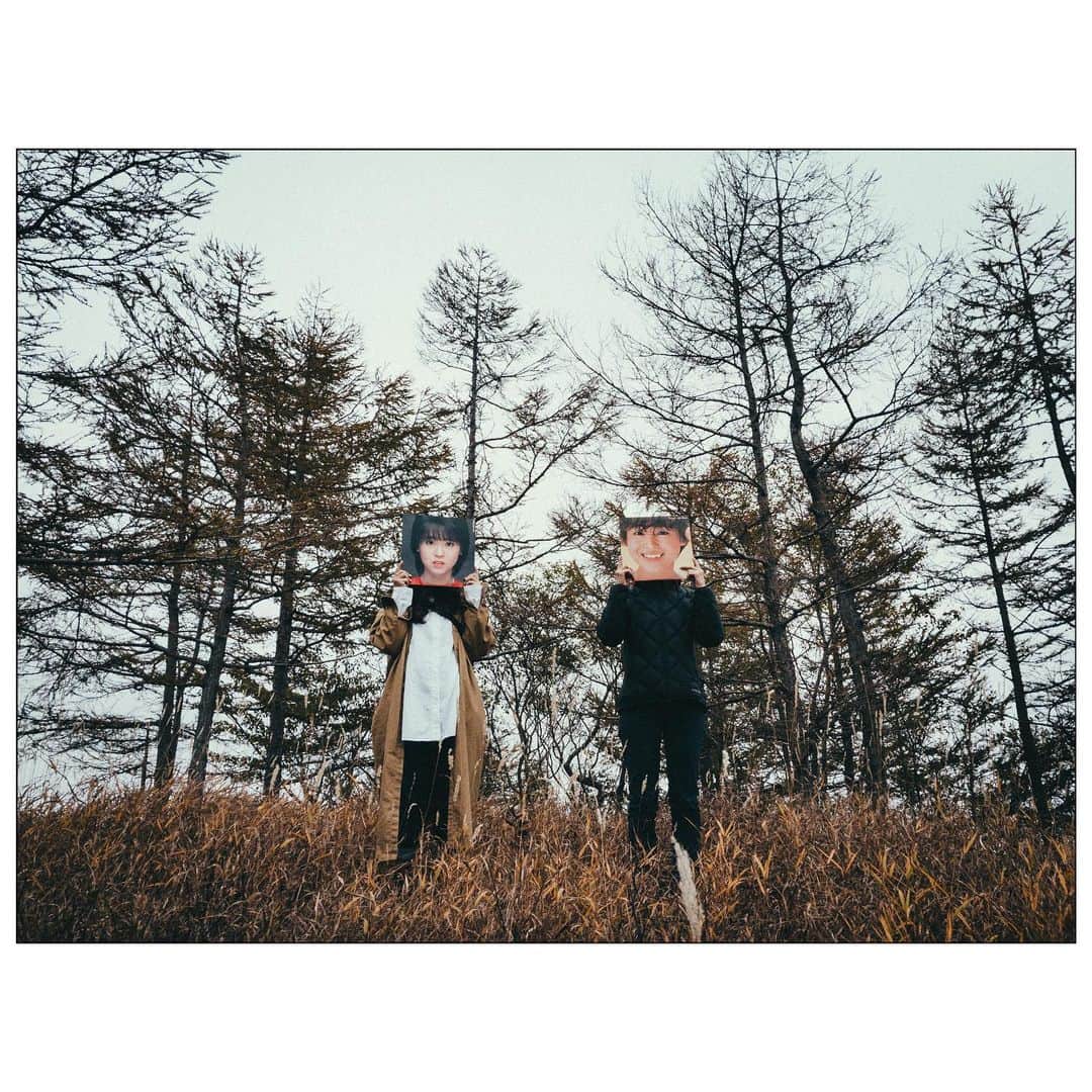 daruma64のインスタグラム：「🌲🌲 . #松田聖子 .」