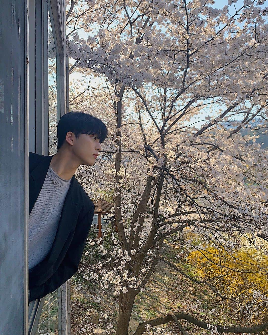 キム・カンミンさんのインスタグラム写真 - (キム・カンミンInstagram)「창문 밖으로 꽃 보아요 🌸」4月12日 22時47分 - kangmeen