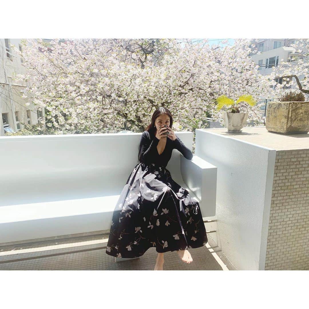 のインスタグラム：「我が家にとって、一年で一番美しい1週間が始まっております☺️🙏🏻🌸 東京オリンピックの4年後に我が家は建てられ、その時に、この庭の桜も植えられたのだと思います。  成熟した大きな木。  冬は、苔生した老人のような幹に見えますが、春になると、信じられないような立派な花の塊を咲かせ、苔のグリーンとサクラ色の色合いが、見事なほどに美しい。。。。 日々、朝起きて「おはようございます」と挨拶をして、寝る前にも「ありがとうございました」と感謝をする。  今までも植物はとても身近で大切なものでしたが、こんなに、繊細に日々を植物と向き合うこと。いまだかつて人生で無かったことでした。Stay at home がもたらした、新しい生き方でした。  ただ。ただ。前を見て。  人生で記憶に残る素晴らしい一年にしたいと仲間と共に誓うのでした。早くみんなに会いたいな🥺 その日まで、エネルギーを集中して貯めています🙏🏻進化の時🌸  #StayatHome #感謝　#進化」