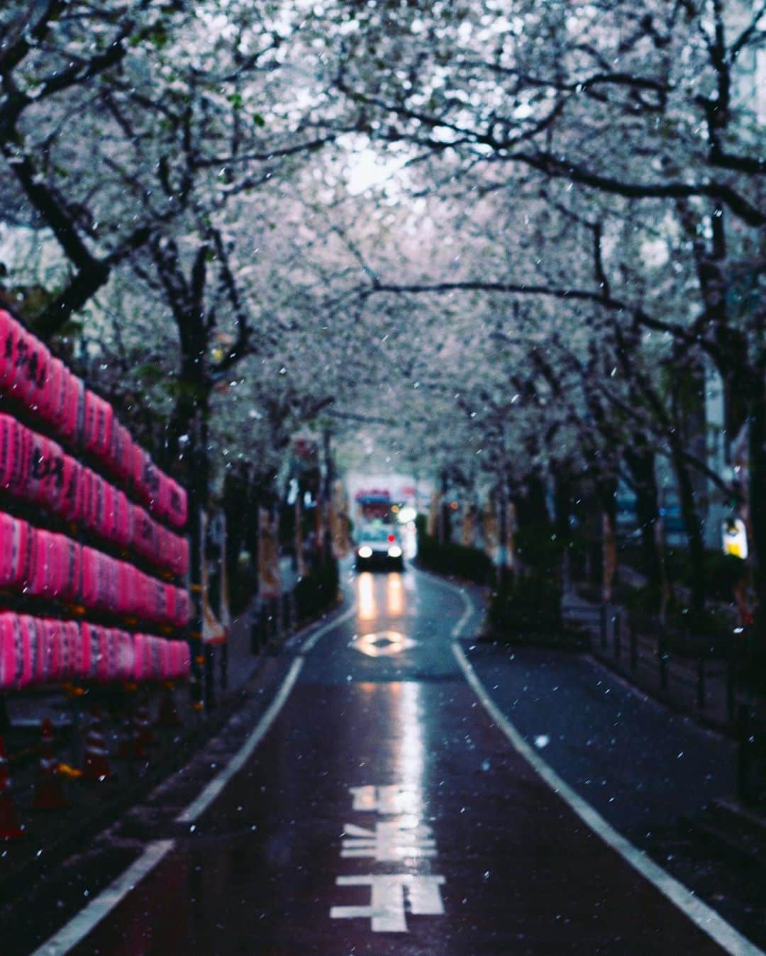 Kaiさんのインスタグラム写真 - (KaiInstagram)「Tokyo, lately」4月12日 22時52分 - kaitaro.k