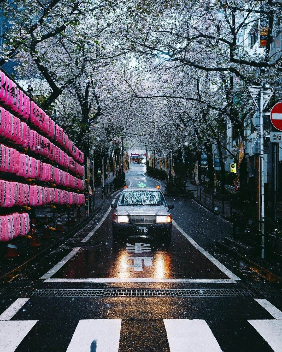 Kaiさんのインスタグラム写真 - (KaiInstagram)「Tokyo, lately」4月12日 22時52分 - kaitaro.k
