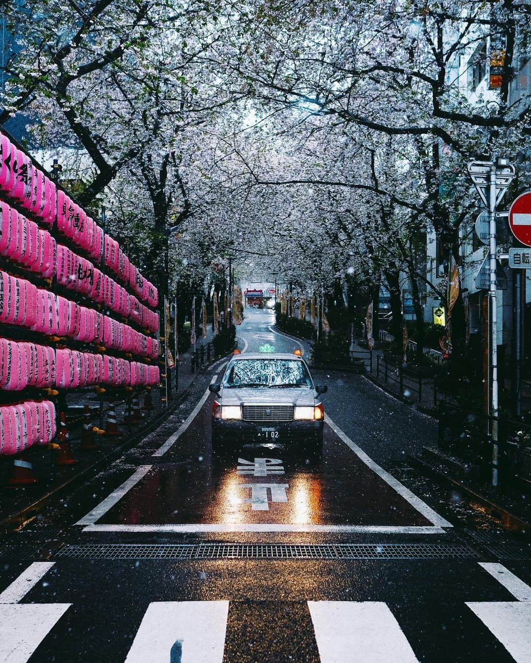 Kaiのインスタグラム：「Tokyo, lately」