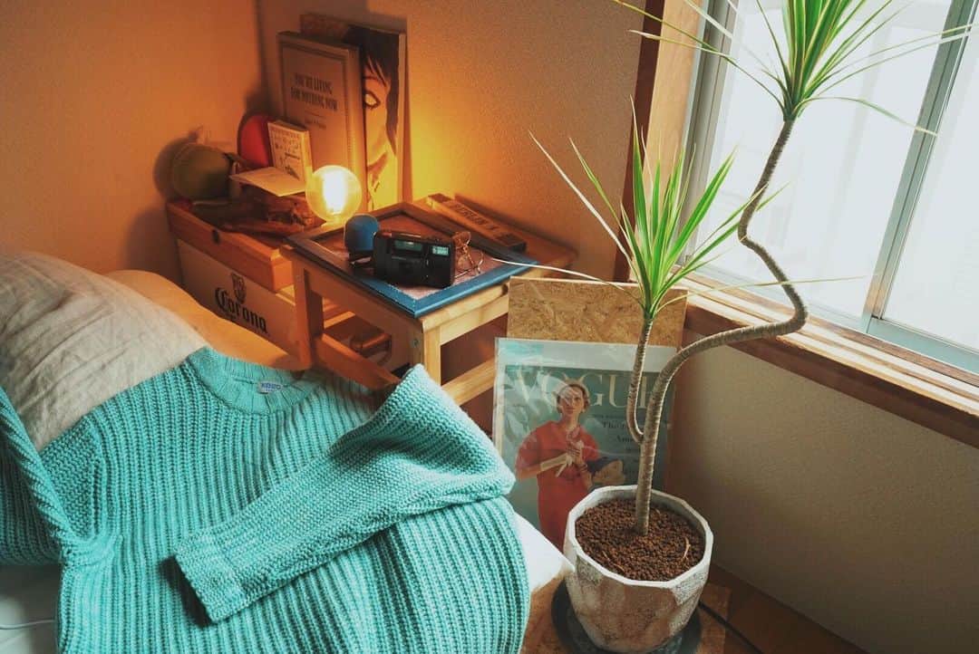 長坂 睦生のインスタグラム：「お部屋に観葉植物さん仲間入り✌︎」