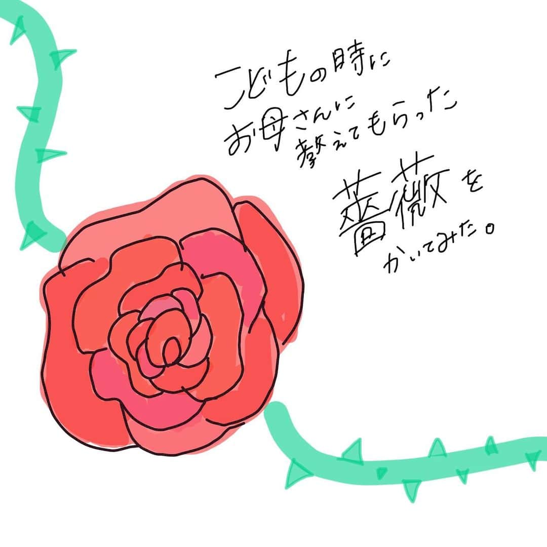 のインスタグラム：「ファーストサマーウイカちゃん　@f_s_uika から回ってきました✏︎ ❤︎ 絵の上手なお母さんから小さい頃教えてもらった 薔薇の描き方、思い出して描きました！ 好きなお花はガーベラなんだけど 薔薇の隣に描きかけてひどすぎて消しました。笑 ❤︎ 次は清水あいりちゃん @shimizuairi に回します！ 実はめちゃくちゃ独特のタッチで絵を描く人！笑 #イラストで笑顔を広げよう」