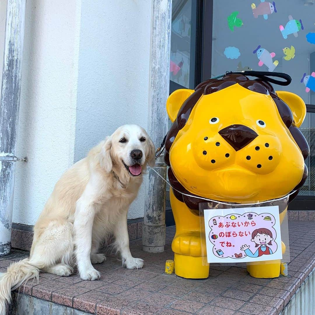 P太郎ママのインスタグラム