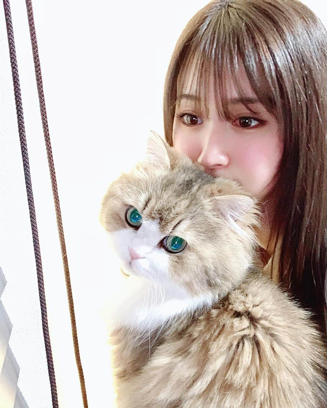 阿部菜渚美さんのインスタグラム写真 - (阿部菜渚美Instagram)「24歳になりました！ このご時世大変なことも多いですがまったりと迎えました☺︎有難いことにこの1年沢山の出会いや環境に恵まれまして、その環境や人とのご縁を大切に過ごしたいと思いました🌸 皆さまの暖かさにもとても感謝しています🙇🏻‍♀️ これからもどうぞ宜しくお願い致します！ 目ちょっと赤いのは掻いちゃった笑🙋🏻‍♀️ #たぬきち」4月13日 0時14分 - nanami_abe73