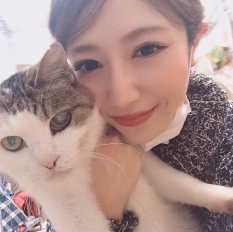 のインスタグラム：「猫を飼うなら保護猫を🐈❤️ #ねこすたぐらむ  #cat #catstagram  #shelter #volunteer #保護猫 #元野良猫 #love」