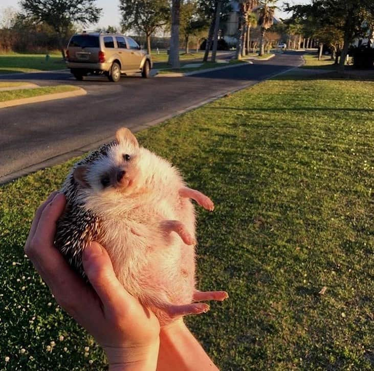 チョ・ミニョンのインスタグラム