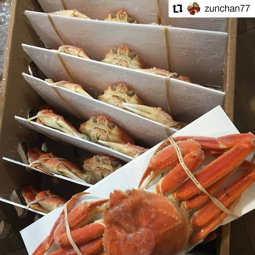 越前かに職人　甲羅組のインスタグラム