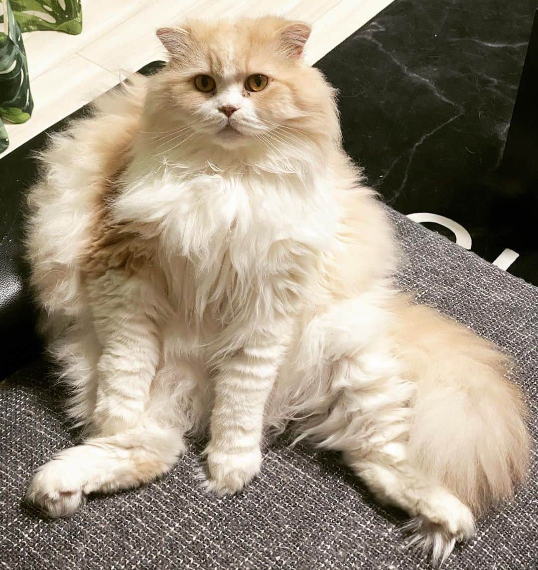 岩谷麻優のインスタグラム