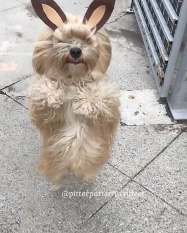 Holly Sissonのインスタグラム