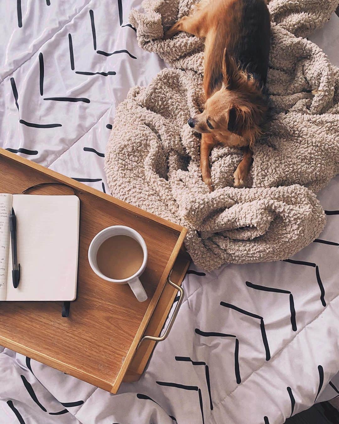 Kalyn Nicholsonのインスタグラム：「happy Easter weekend 🐇✨ hope your Sunday is simmering slow and cozily (I’ve been sucked into a new video game half the day and plan on spending tonight sinking deep into Outlander post gysting) I collected a mini spring carousel of some quietier moments over the last few days or so. I’ve been taking more time away from social media without any real reason or expectation — the outcome has been a mixture of more mental space to roam, peace of mind to enjoy and little jolts of inspiration to capture simple moments like these and that combo has felt very refreshing」