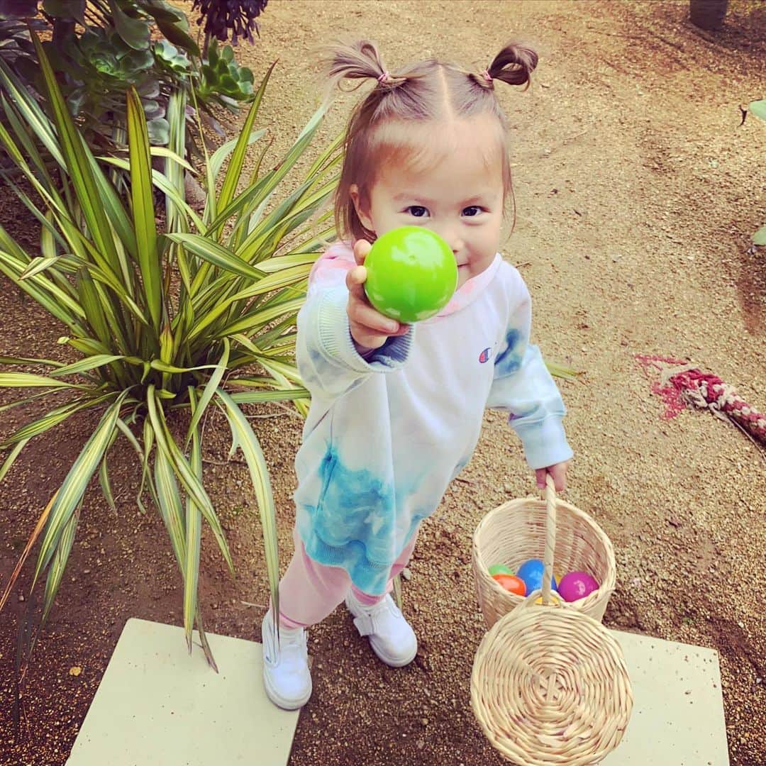 のインスタグラム：「Happy Quarantine Easter from Joy bunny to you🐰🐣🐥🐇」
