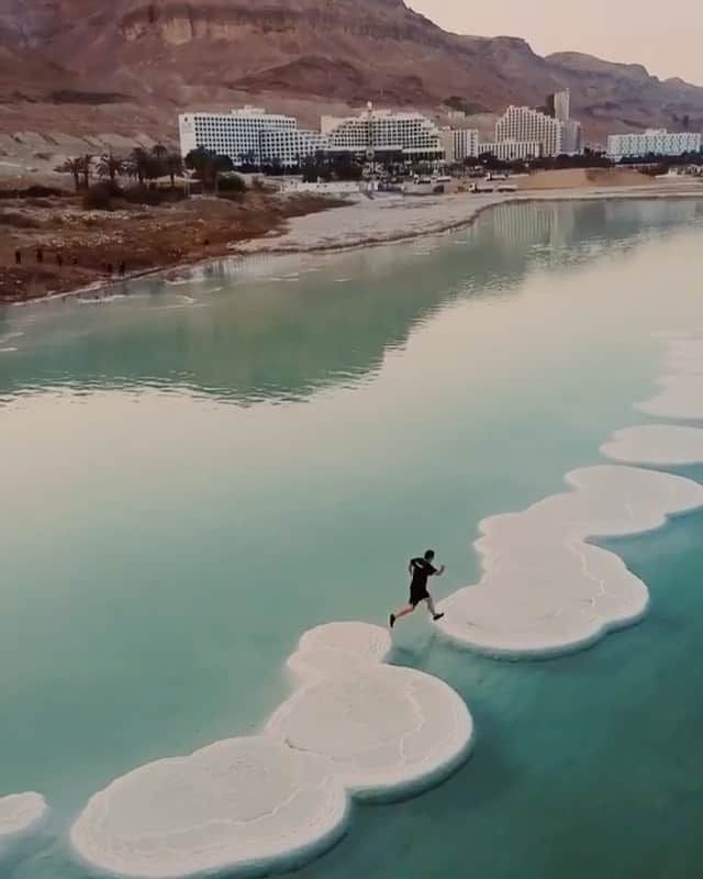 ティモシー・サイクスのインスタグラム：「Watch these videos to see some of my craziest experiences from the past year and I’m glad you guys are liking the throwback videos I’ve been posting on my Instagram stories from all my recent trips — it’s good to be reminded how amazing our world is and to also have some travel inspiration for when this crisis is over! NEVER forget how incredible a time is to be alive right now where you can be anything you want and do anything you want like never before possible at any other time throughout history. Yes, yes, it’s going to be a few months to have that kind of freedom again and you have to work your ass off to escape the rat race to explore more, but at least you can study more than ever to become an expert in whatever subject you love while we’re all forced to stay home due to this pandemic right now. More importantly, this crisis is such an important reminder for all of us to treat our planet and animals far better and to never again take our freedom, experiences, relationships and lives for granted. Let’s all learn from this and come out of this crisis wiser, stronger and more appreciative of everything AND everyone!」