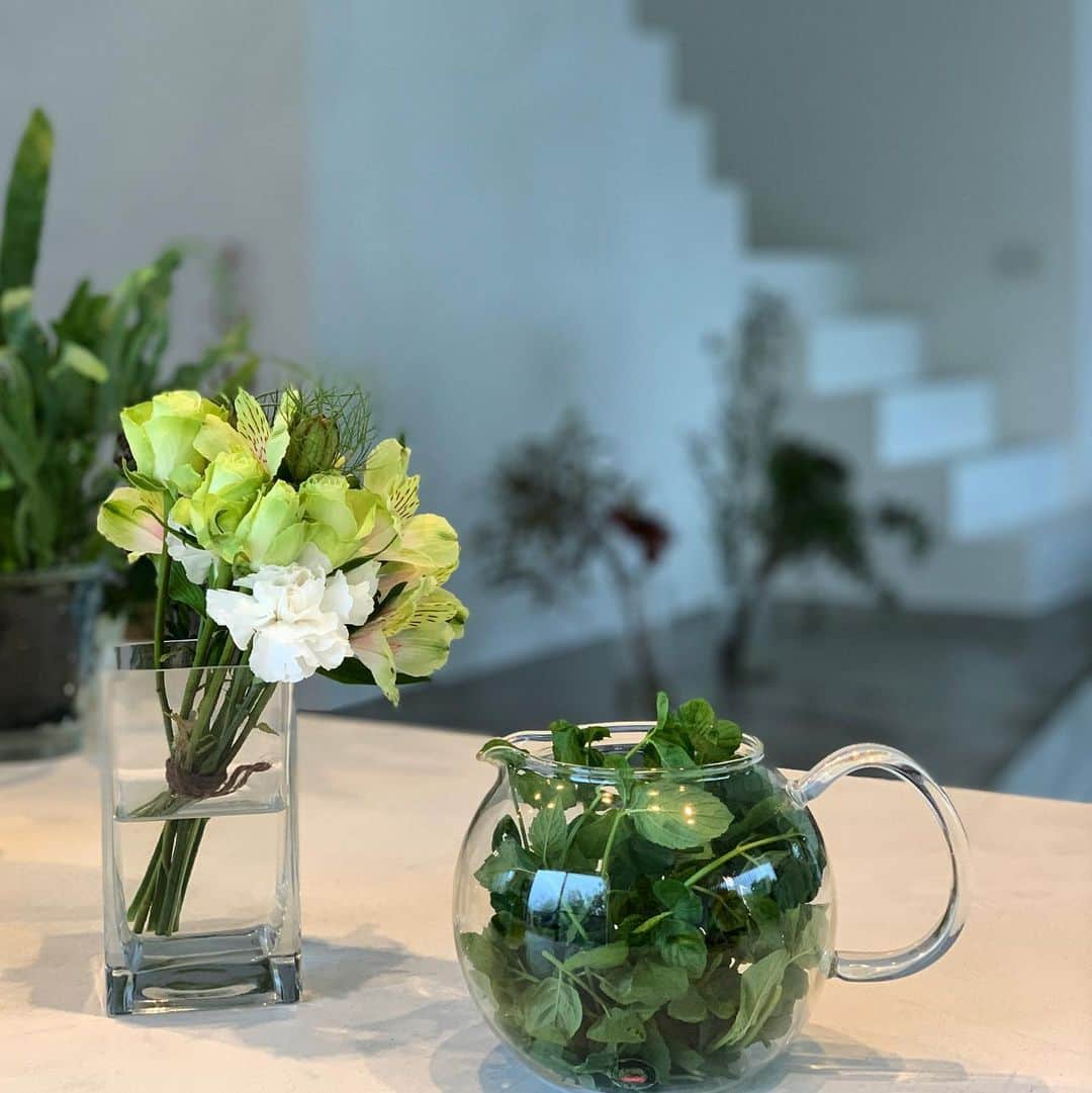 のインスタグラム：「Good morning 🍃 * * 好きな音楽かけて お茶を飲む。 * ほんの数分でも優雅な気持ちになれる。 * Have a good one ☝🏾 * * #花のある暮らし  #自分時間 #朝の一杯 #ミント好きな人と繋がりたい」