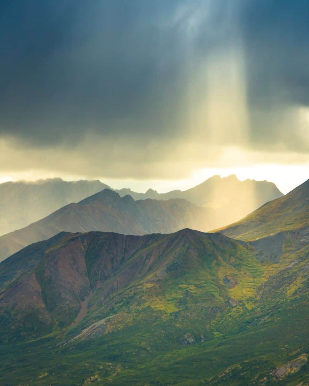 National Geographic Travelさんのインスタグラム写真 - (National Geographic TravelInstagram)「Photo by @emilypolar | Golden beams of light shine down through dark rain clouds passing over the Tombstone Range in Tombstone Territorial Park, Yukon. It is one of the most magical places I've been. To see more of the Yukon and beyond follow me @emilypolar. #Canada #Yukon #TombstoneTerritorialPark」4月13日 9時04分 - natgeotravel