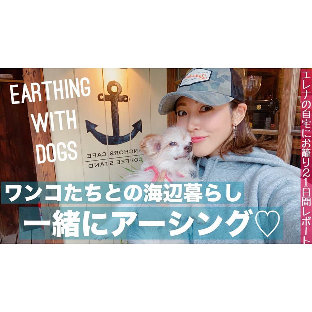 長谷川朋美さんのインスタグラム写真 - (長谷川朋美Instagram)「#自主自粛 生活を続けて17日が過ぎ、ずっと3食自炊をしていましたが、たまにはお弁当でも買いに行こうか？となり、昨日は近所のカフェまで犬の散歩がてら、 @minatonoakari にお弁当を買いに🍱 ・ こちら普段は#古民家 を お洒落に改築した宿泊施設です✨ ・ 帰りに誰もいないビーチでお弁当を食べて、 #アーシング して帰りましたよ🌈 ・ 最近よく書いているアーシングについては、 今日のBlogにあげています^_^ ・ 昨日の動画は#YouTube にアップしたので、 どちらも最新のものをご覧ください💕 ・ #earthing #ワンコ #わんこ生活 #葉山ライフ #hayama #hayamalife #葉山 #beachlife #海辺の暮らし #nature #cafe #takeout #takeaway #葉山観光大使 #シニア犬」4月13日 10時30分 - hasegawa.elena.tomomi