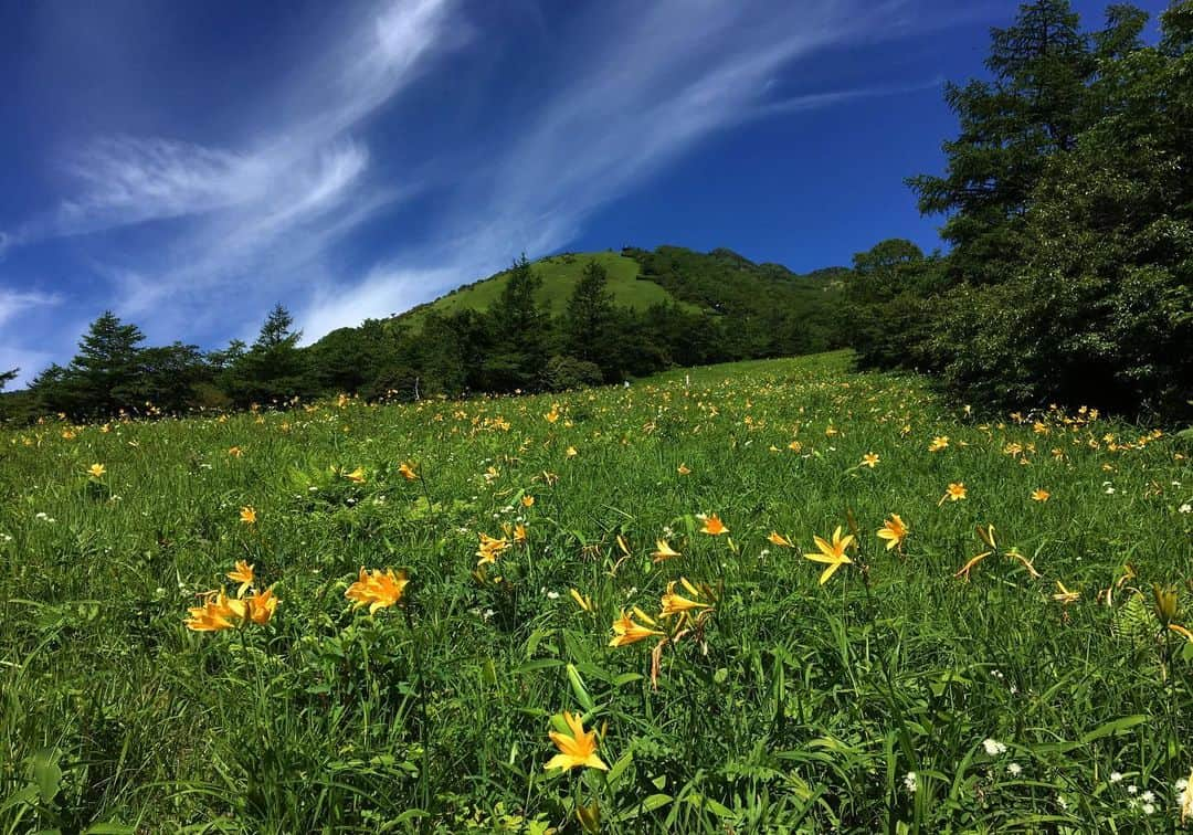 TOBU RAILWAY（東武鉄道）のインスタグラム