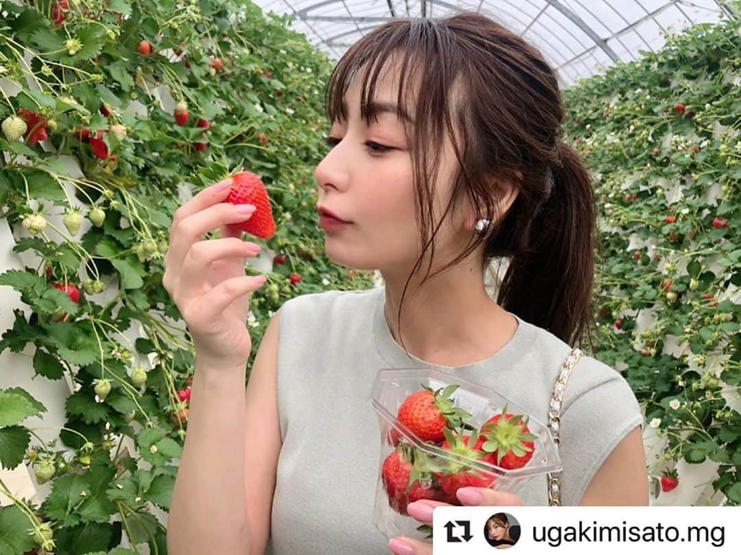 美人百花のインスタグラム