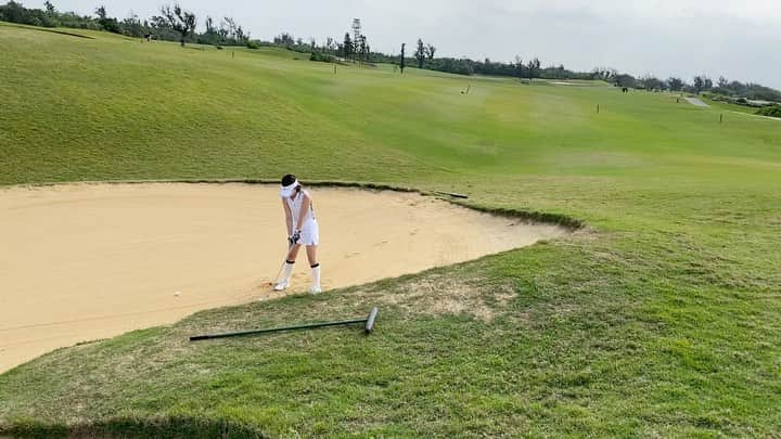 はるまのグルメインスタ