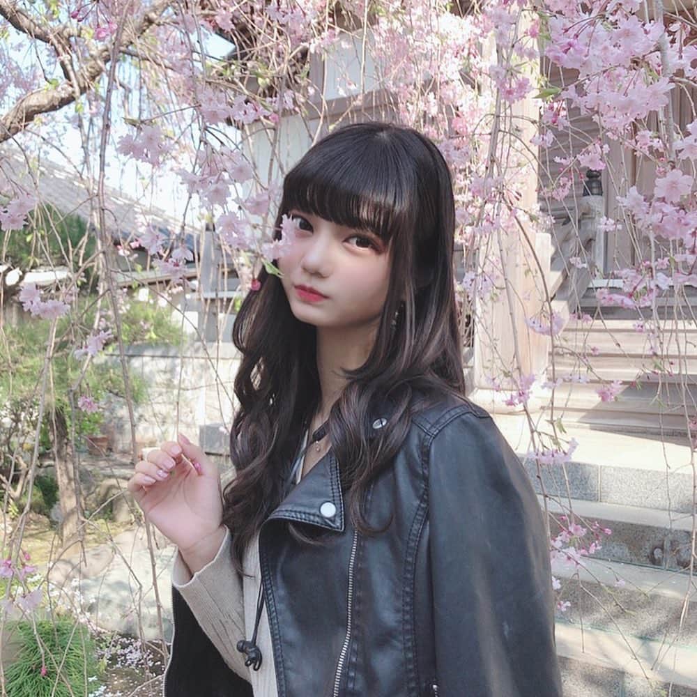 音羽かのん（阿部かれん）さんのインスタグラム写真 - (音羽かのん（阿部かれん）Instagram)「桜綺麗だったんよ🌸  #桜  #サクラ#spring」4月13日 21時11分 - karen__abe0202