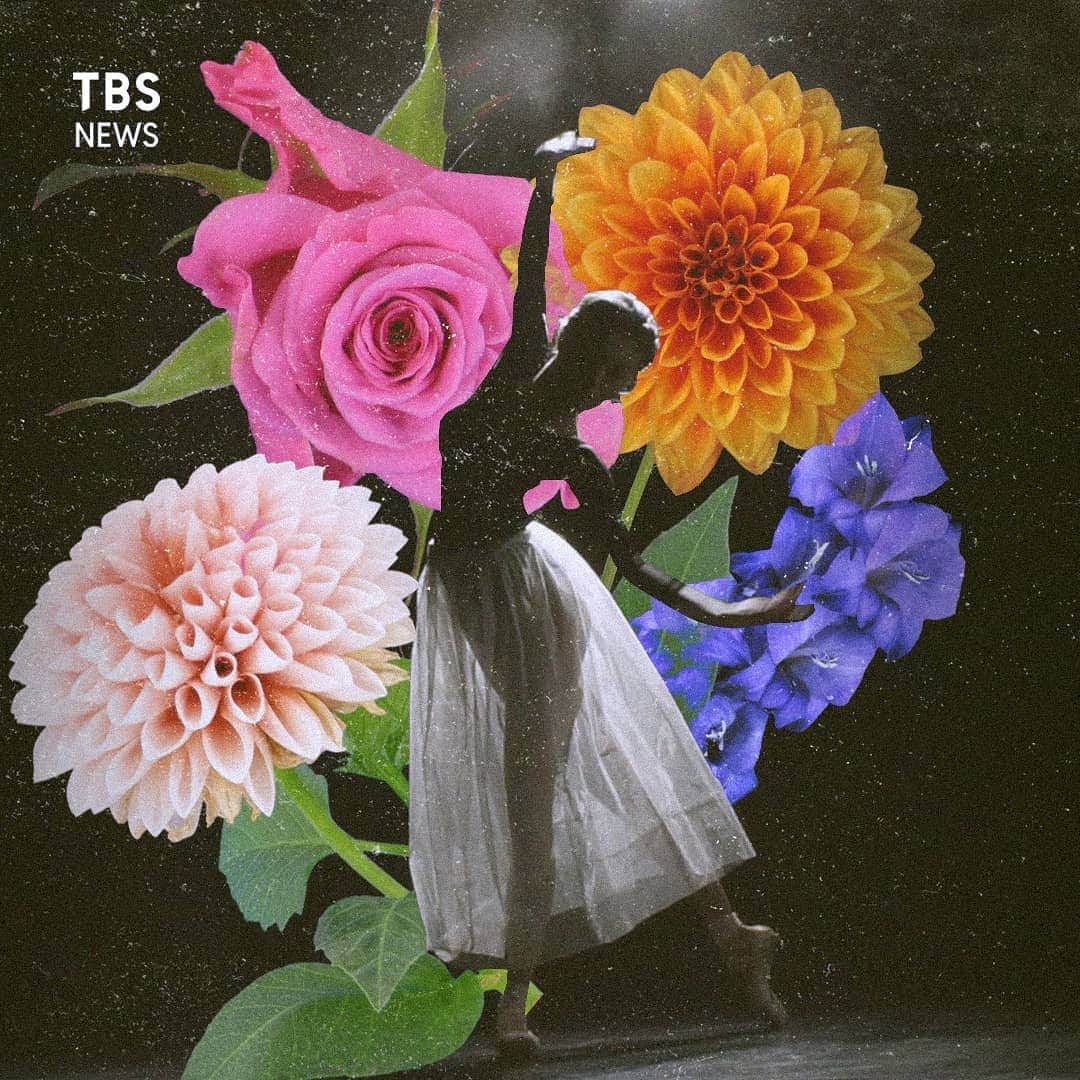 TBS NEWSのインスタグラム