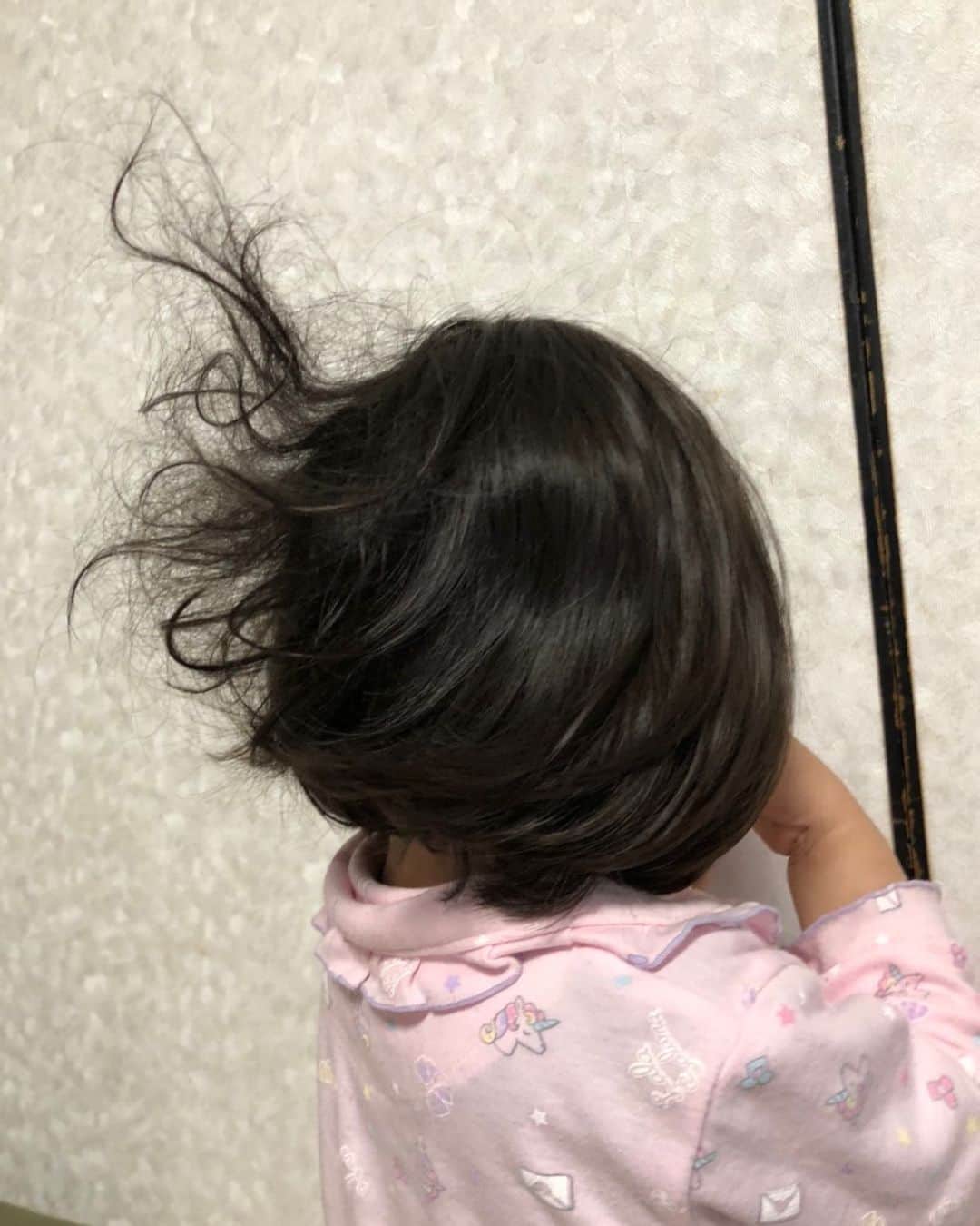 のインスタグラム：「小先生の寝癖が美容学校の卒業作品みたいなってる #小先生 #寝癖 #寝ぐせ #美容学校 #卒業作品 #アート」