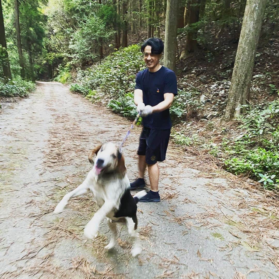 岡村咲さんのインスタグラム写真 - (岡村咲Instagram)「ジョンの写真撮ってみたけど全部ぶれてる😂何故かは、最後の動画を見たら分かります😂　#犬のいる生活」4月13日 15時04分 - sakiokamura_official