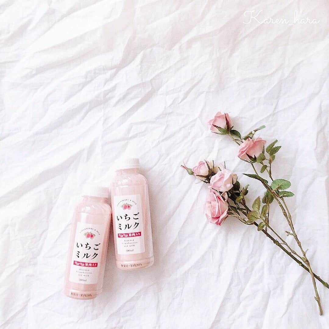 原かれんさんのインスタグラム写真 - (原かれんInstagram)「᯽ いちごミルク🍓🥛 . . コンビニ ファミマさん（ @familymart.japan )で 見つけたら必ず買ってしまう . . 『いちごミルク』 . つぶつぶのいちご果肉がたくさん入っるょ . . パッケージもかわいい♡ . . . 一度飲んでしまったら また無性に飲みたくなってしまうのにー . 売り切れが多くてなかなか出逢えない… . だから見かけたら２本買ってしまう あーぁ、また飲みたいなぁ💭 . . . 気になった方は是非♡♡♡ . . . #原かれん #かれんたん #nmb48  #映え #귀여워 #いちご #いちごミルク  #instagood #スイーツ巡り #sweets #新作 #instalike #love #instafood #原ぺこかれんたん #ぴろぴろスイーツ #コンビニスイーツ #딸기우유 #ファミマ  #딸기 #일본편의점 #맛스타그램 #먹스타그램 #먹어보자」4月13日 15時07分 - karen_hara315