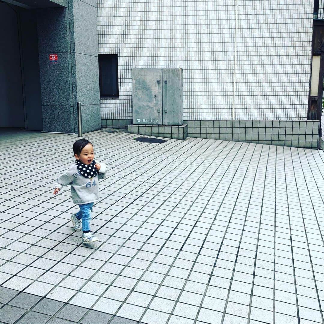菅井悦子さんのインスタグラム写真 - (菅井悦子Instagram)「最近5時～５時半に起きるので 早めの時間に朝ご飯を済ませて、 人のいない場所や時間を考えて歩かせてます。 - おこもり生活の恩恵として、 昼間のおしっこは、ほぼトイレでするようになりました。 残るはう○ちさん。。 一日一回（もしくは二回）のチャンスを見逃さずに誘い出すことがわたしの課題🤔 #一歳七ヶ月 #1歳7ヶ月」4月13日 15時26分 - etsuko313